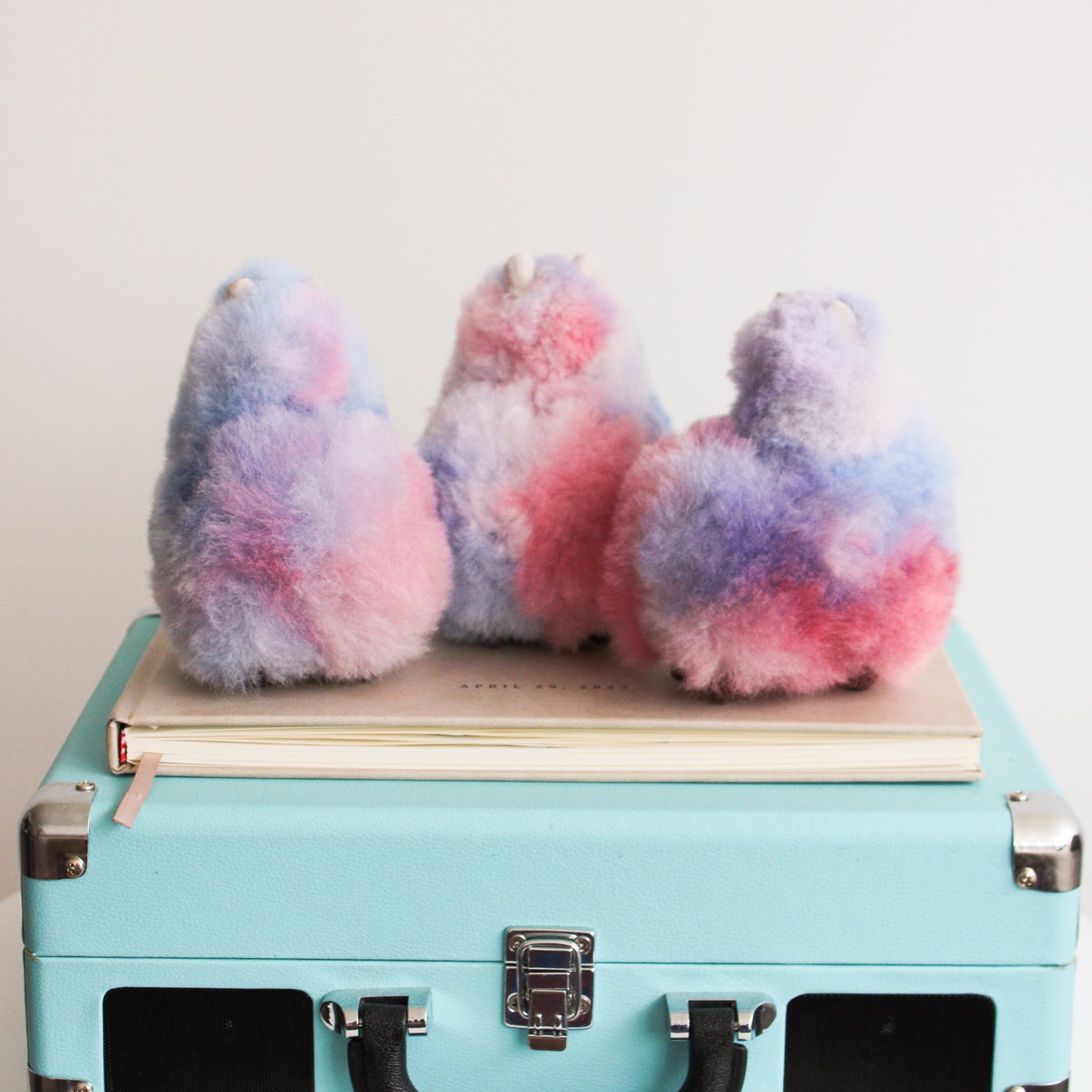 Multi Color Mini Alpacas