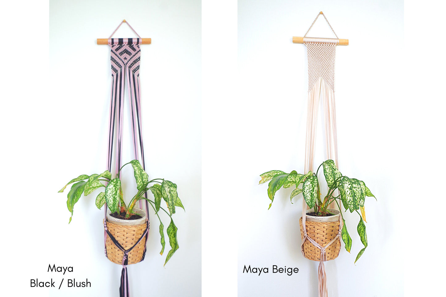 Plant Hangers