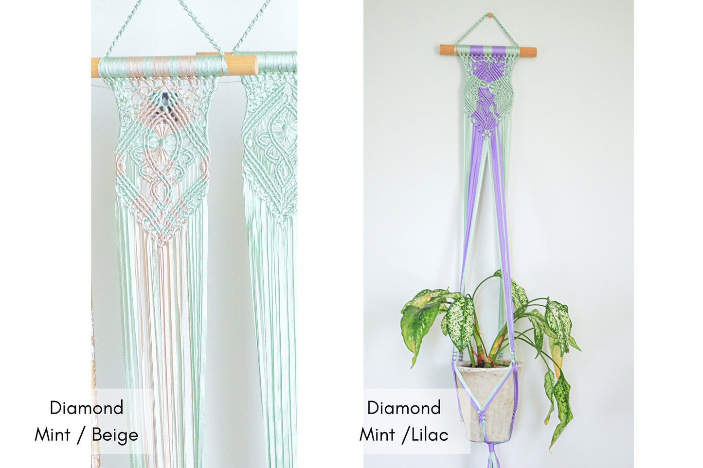 Plant Hangers