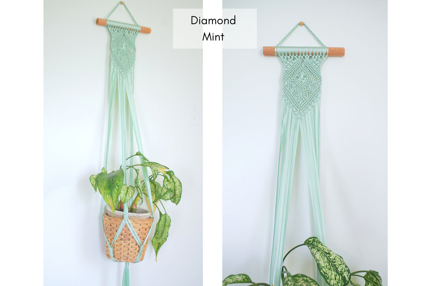 Plant Hangers