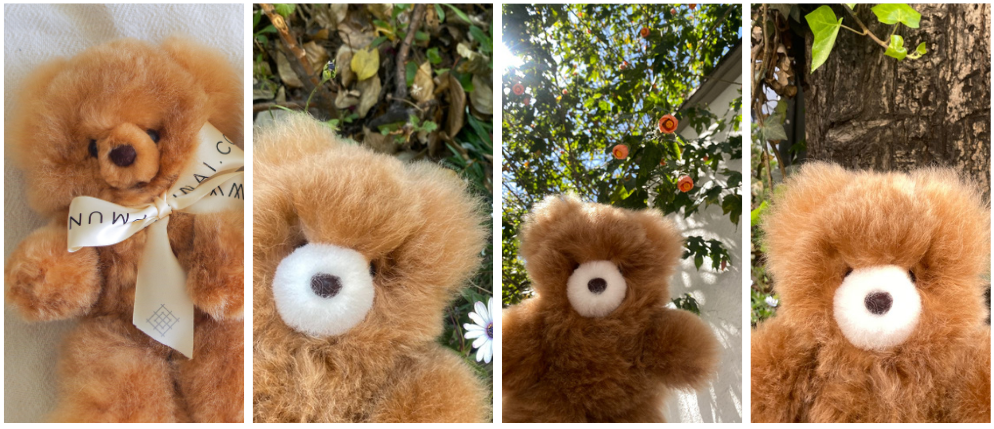 Add a Touch of Warmth to Your Thanksgiving with Our Fluffy Caramel Teddy Bear