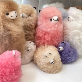 What Kind of Plushie Are You? - Munai