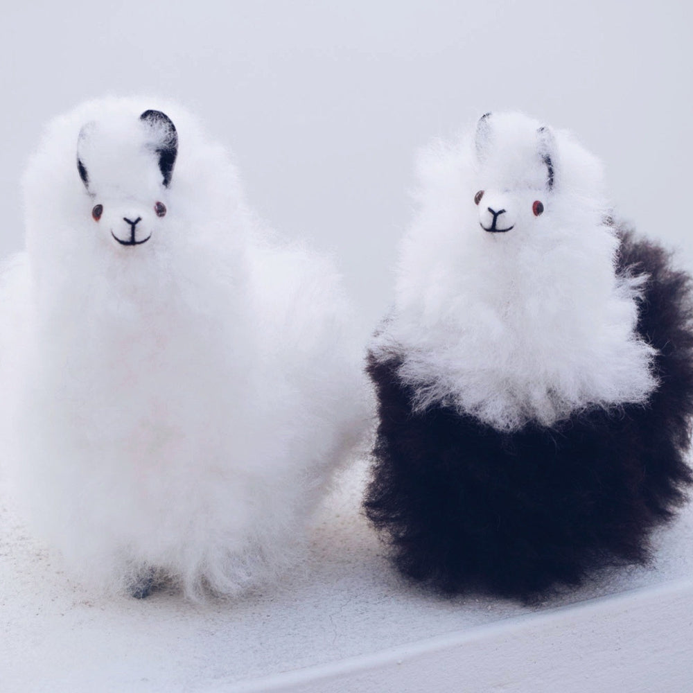 
                      
                        Alpaca wool plushie for home decor or gift. Small size 6" in. Made with 100% alpaca wool. Made by Bolivian and Peruvian artisans. Colors Available: white, black. Adult or children gift
                      
                    
