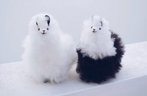 Alpaca wool plushie for home decor or gift. Small size 6" in. Made with 100% alpaca wool. Made by Bolivian and Peruvian artisans. Colors Available: white, black. Adult or children gift