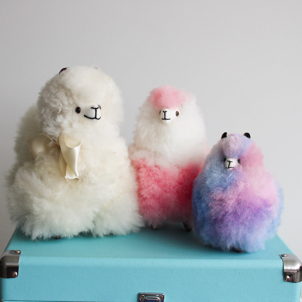
                      
                        Multi Color Mini Alpacas
                      
                    