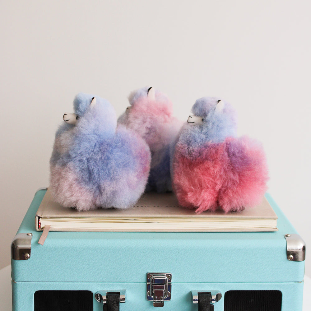 
                      
                        Multi Color Mini Alpacas
                      
                    