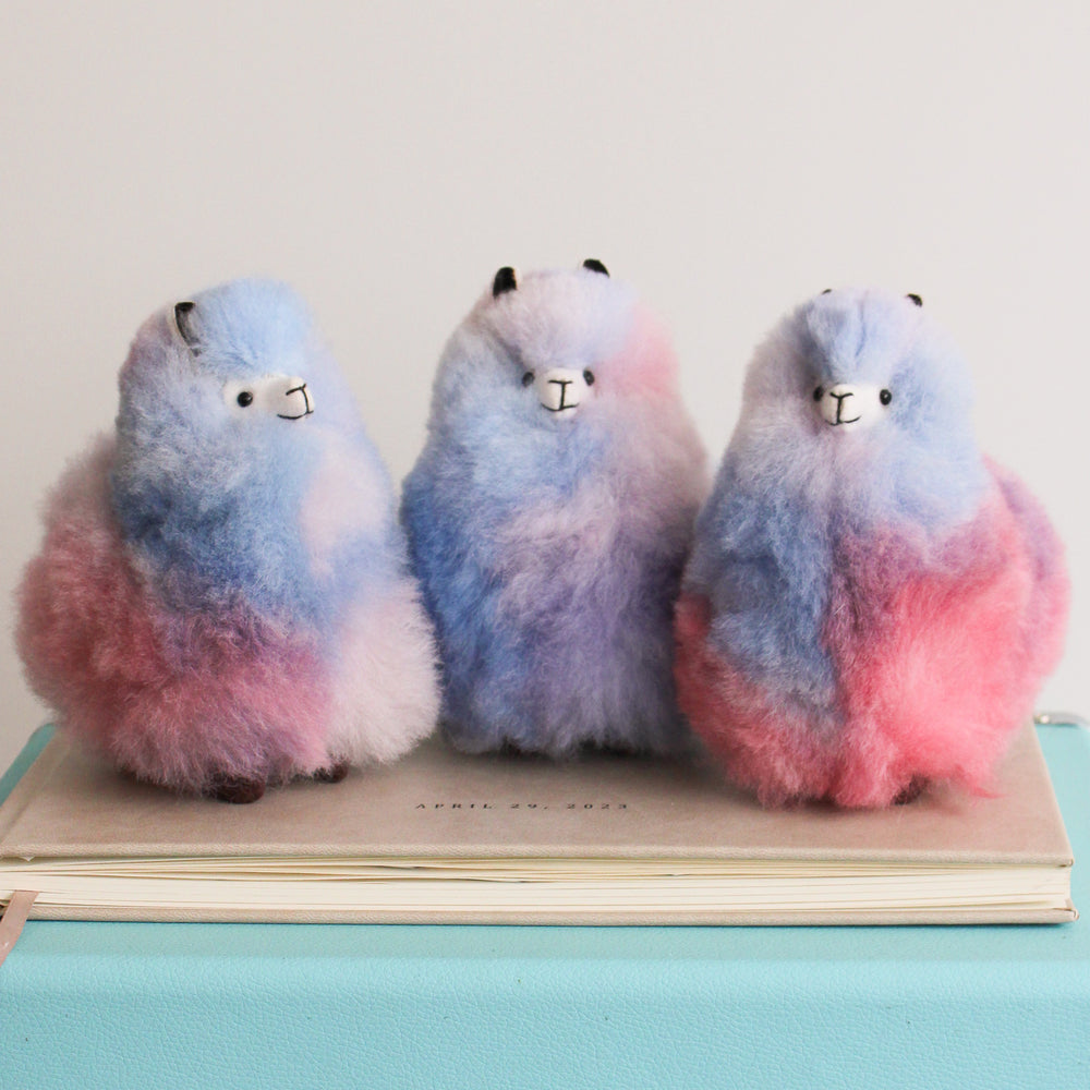 
                      
                        Multi Color Mini Alpacas
                      
                    