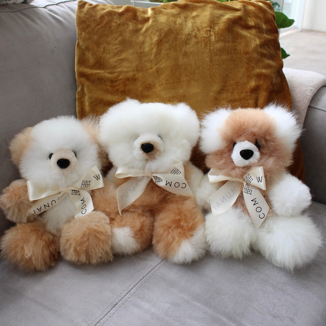 Three spotted two-color teddy bears with ribbons sitting on a couch